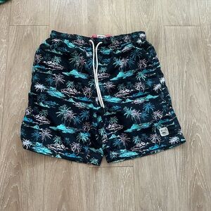 Never worn Spicy Tina Swim trunks